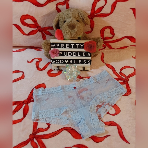 🩵 XXL VS The Lacie Lace Heart Blooms Cheeky Panty 🩵 - Picture 4 of 15